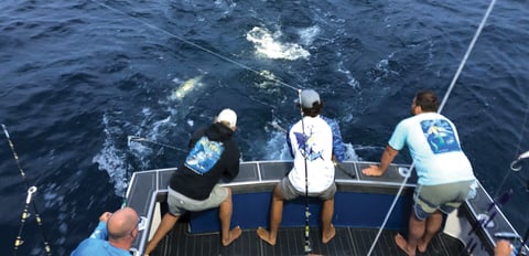 Crew reeling in a fish