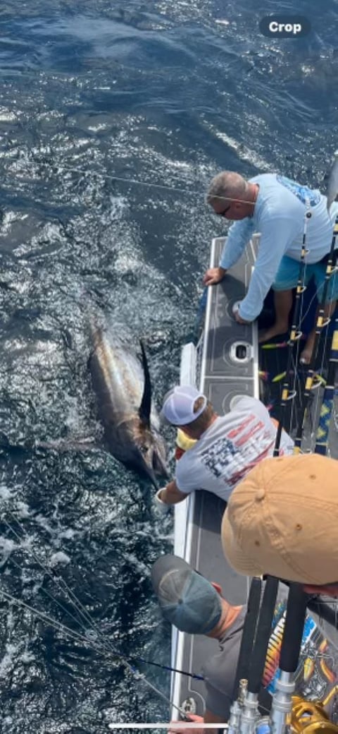 August 10, 2024 catch