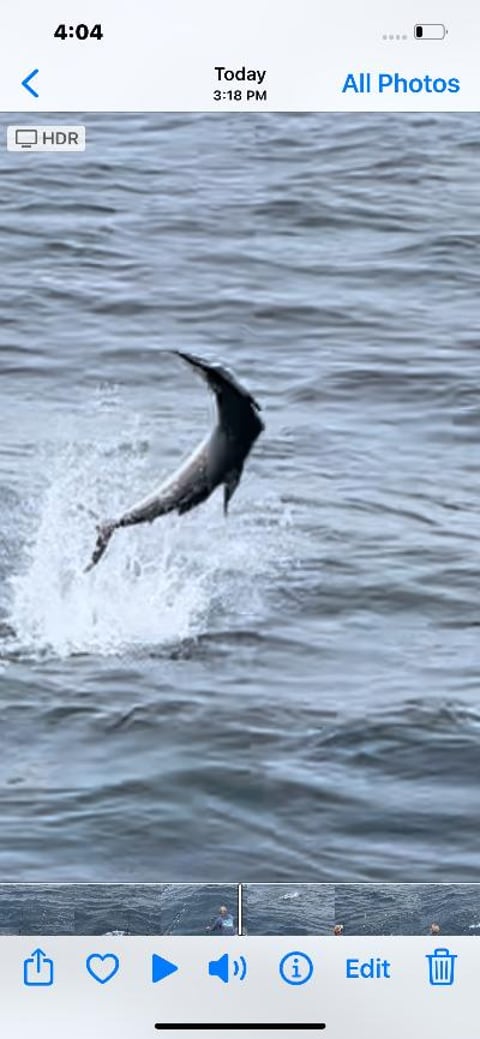 August 17, 2022 catch