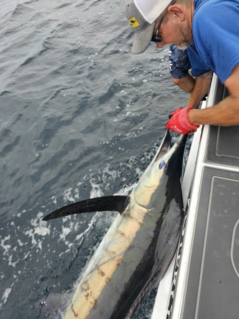 July 24, 2024 catch