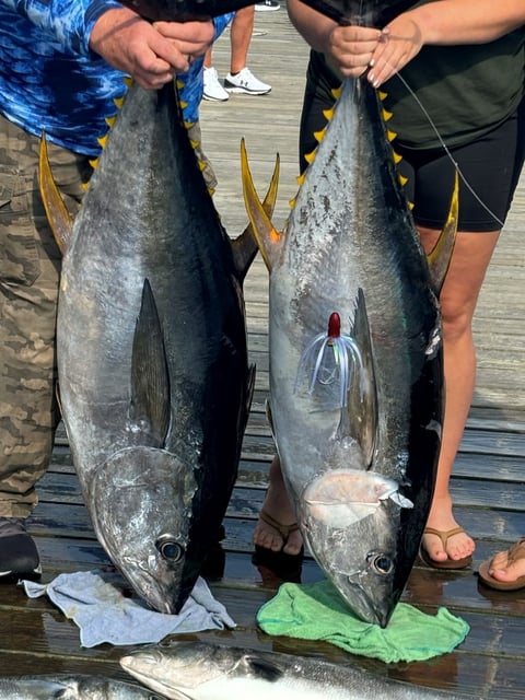 July 8, 2024 catch