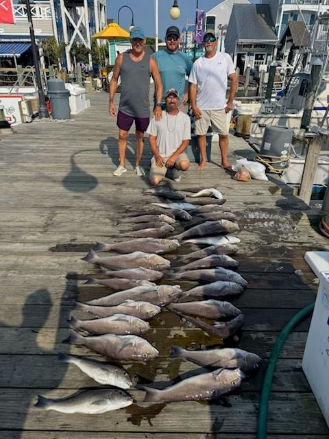 June 12, 2025 catch