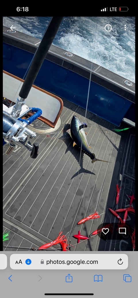 June 14, 2024 catch