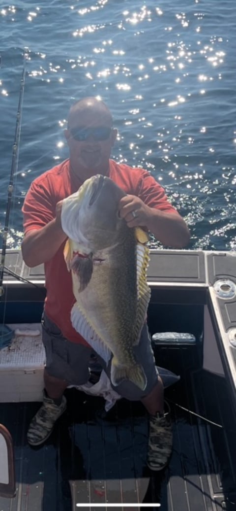 June 17, 2024 catch