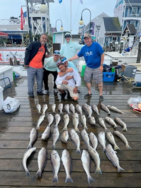 June 8, 2025 catch