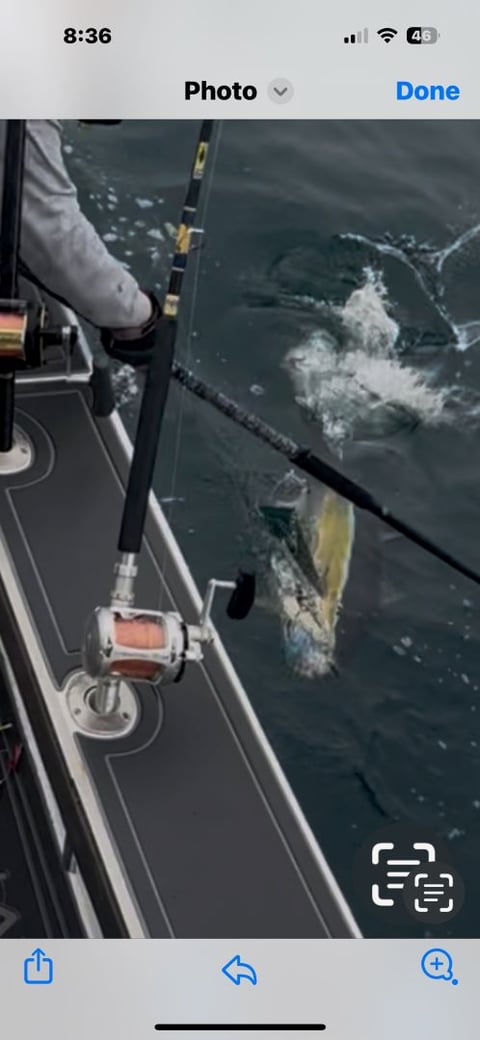 June 8, 2025 catch