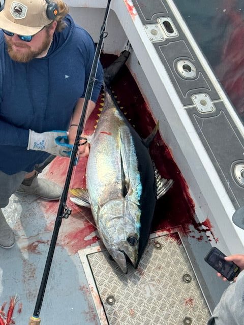 June 5, 2025 catch