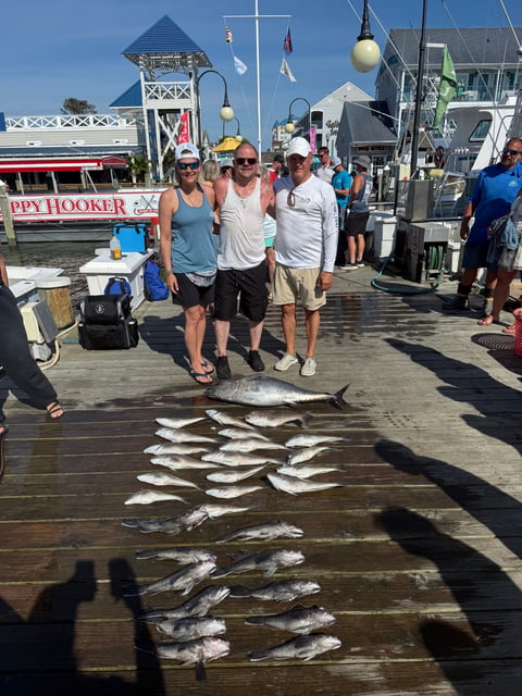 BFT/ Tiles / sea bass