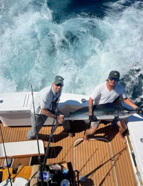 marlin