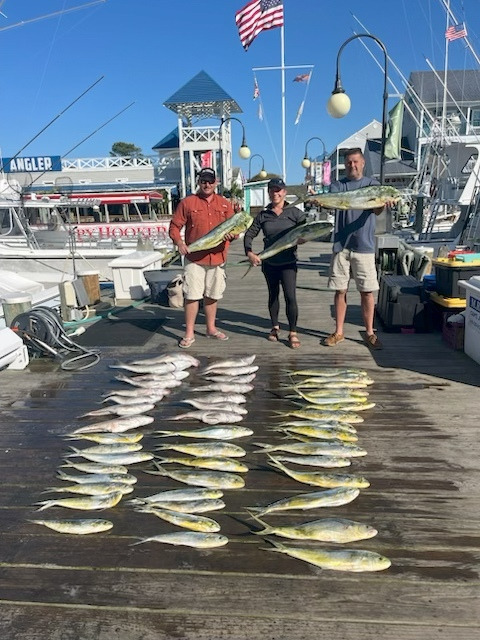 mahi
