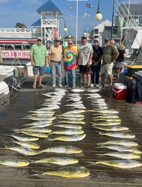 mahi