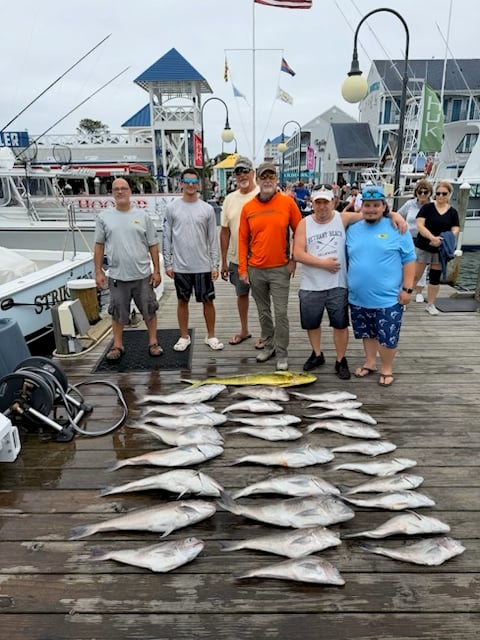 tile mahi july 7 2026