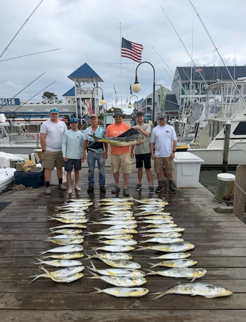 mahi