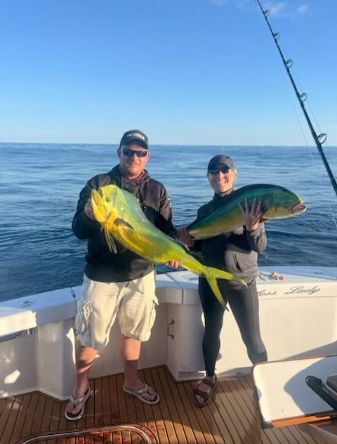 mahi gaffer