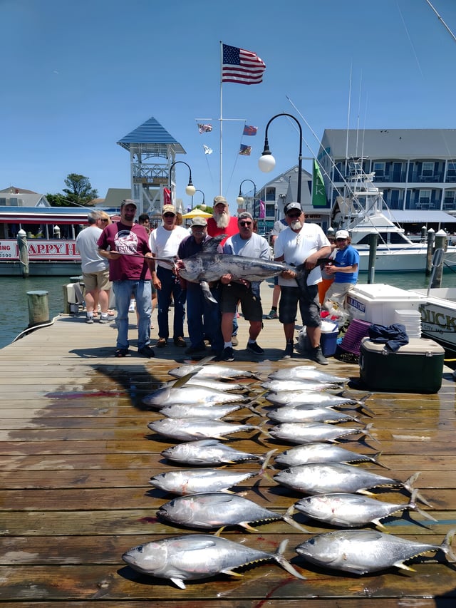 Fatty YFT, daytime sword