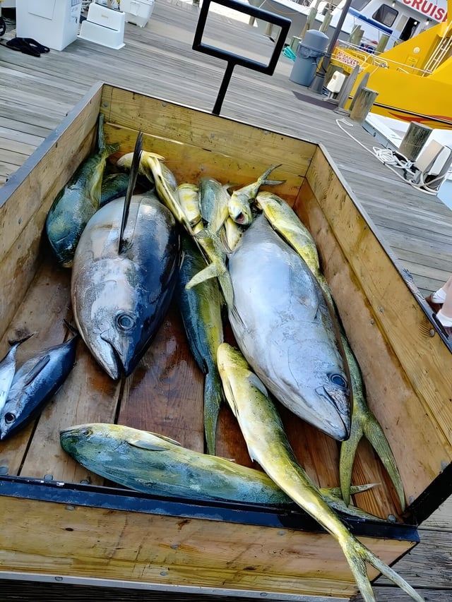 OC is Open and we’re Ready to Fish