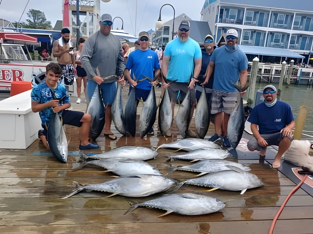 YFT INSHORE CHUNK BITE