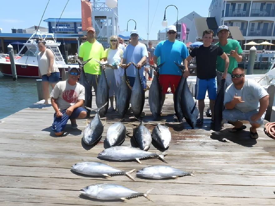 Fishing Report For: July 19, 2014