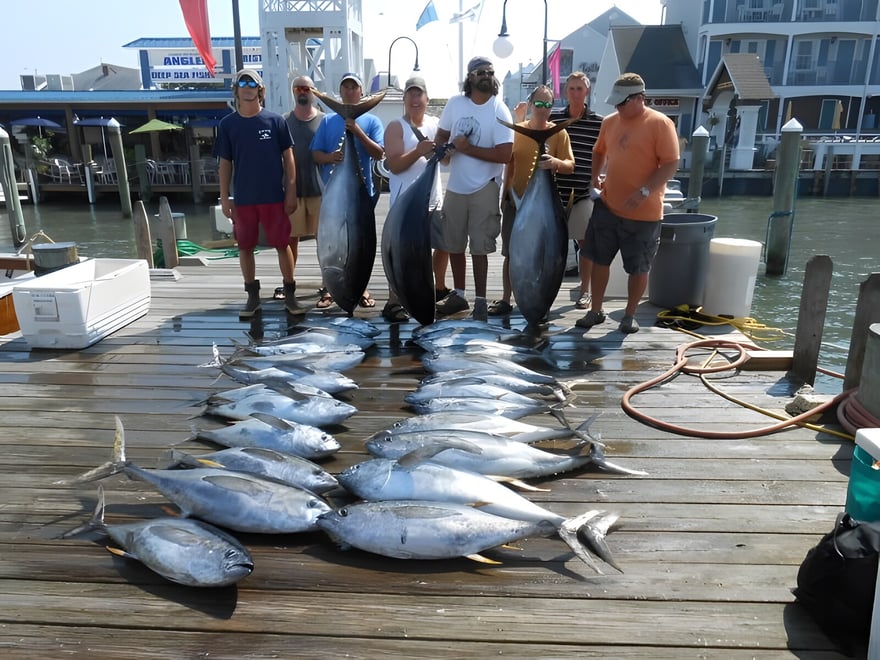 Fishing Report For: September 11, 2013