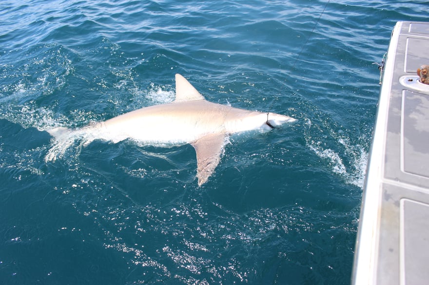 Good weekend for the fleet