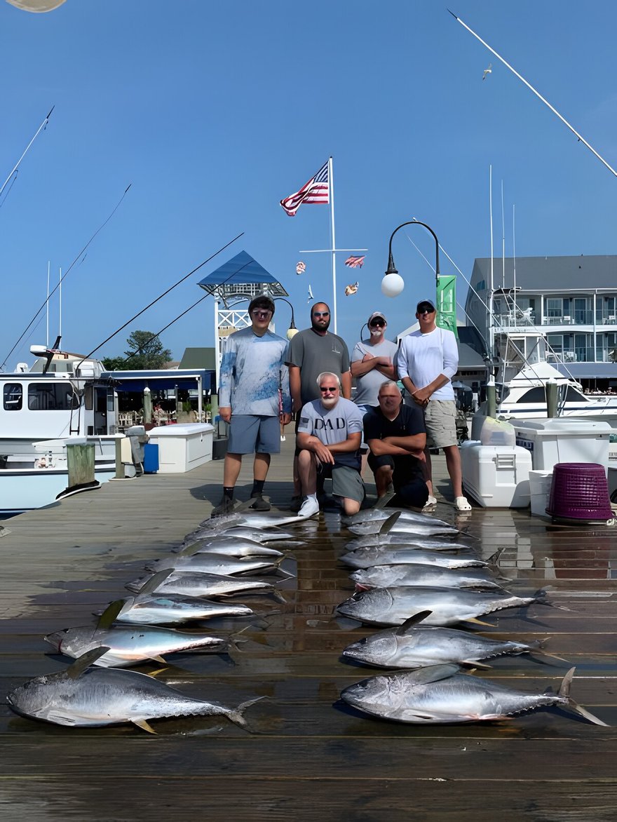 YFT- RL1- AVAIL NEXT MON/TUE