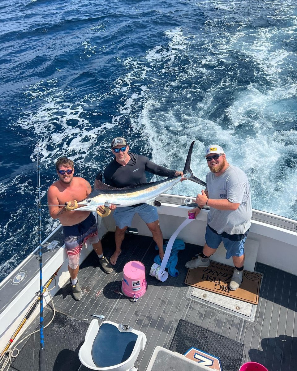 White Marlin catch 2022