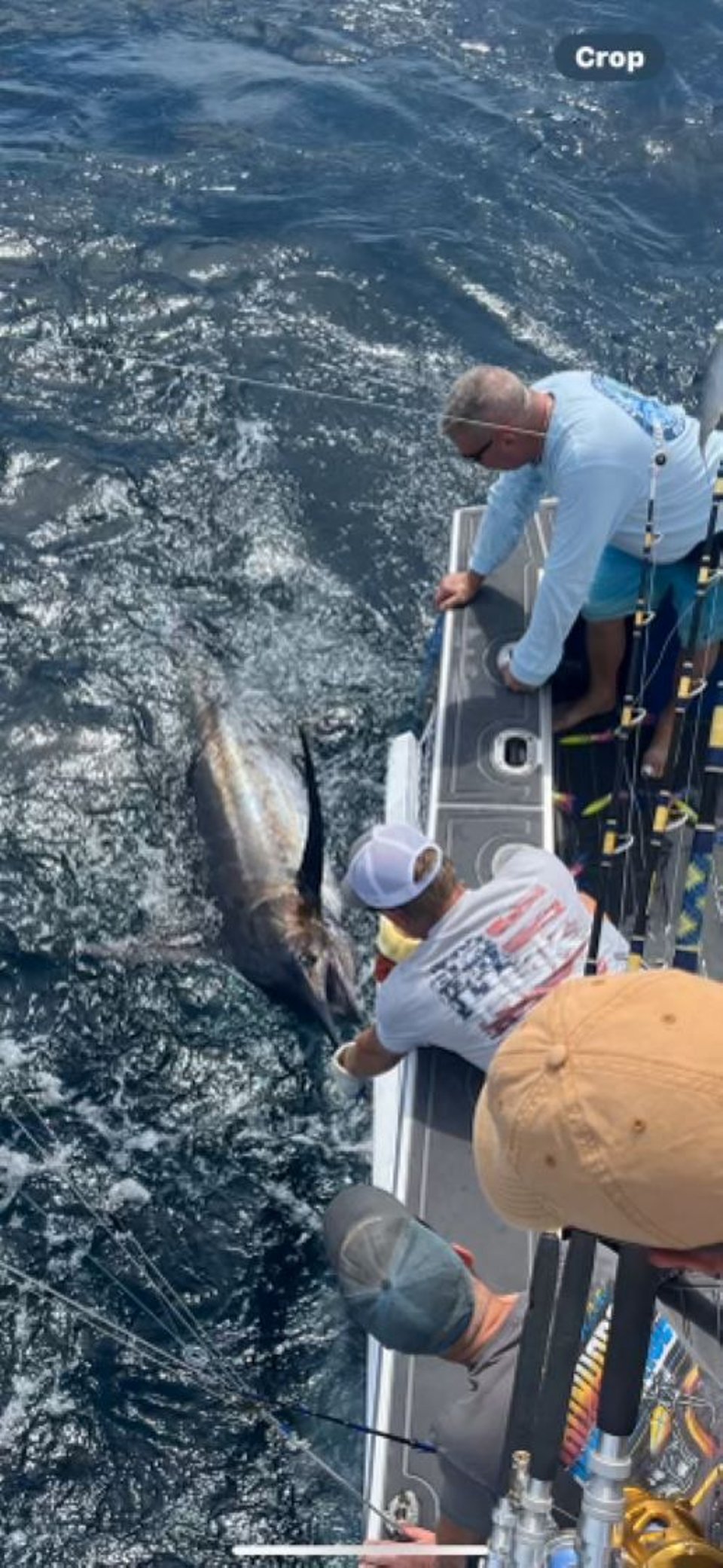 August 10, 2024 catch