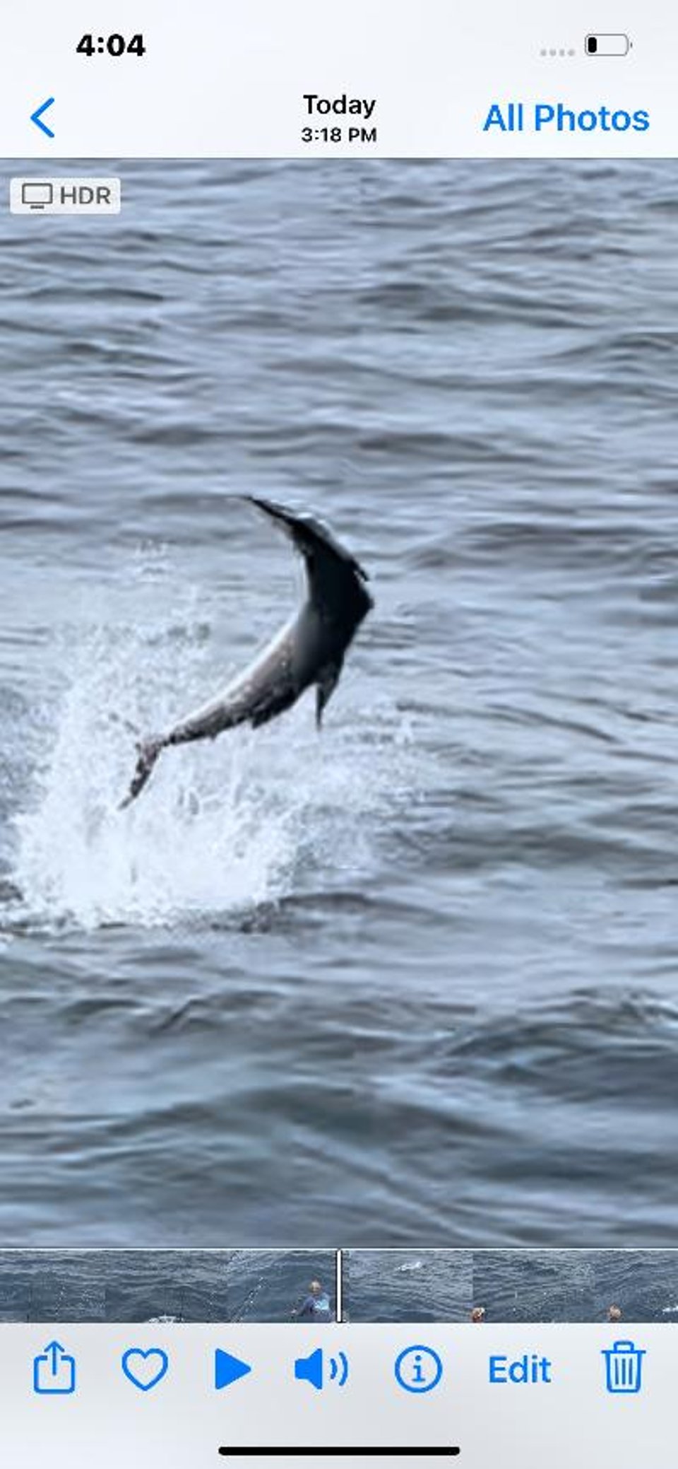 August 17, 2022 catch