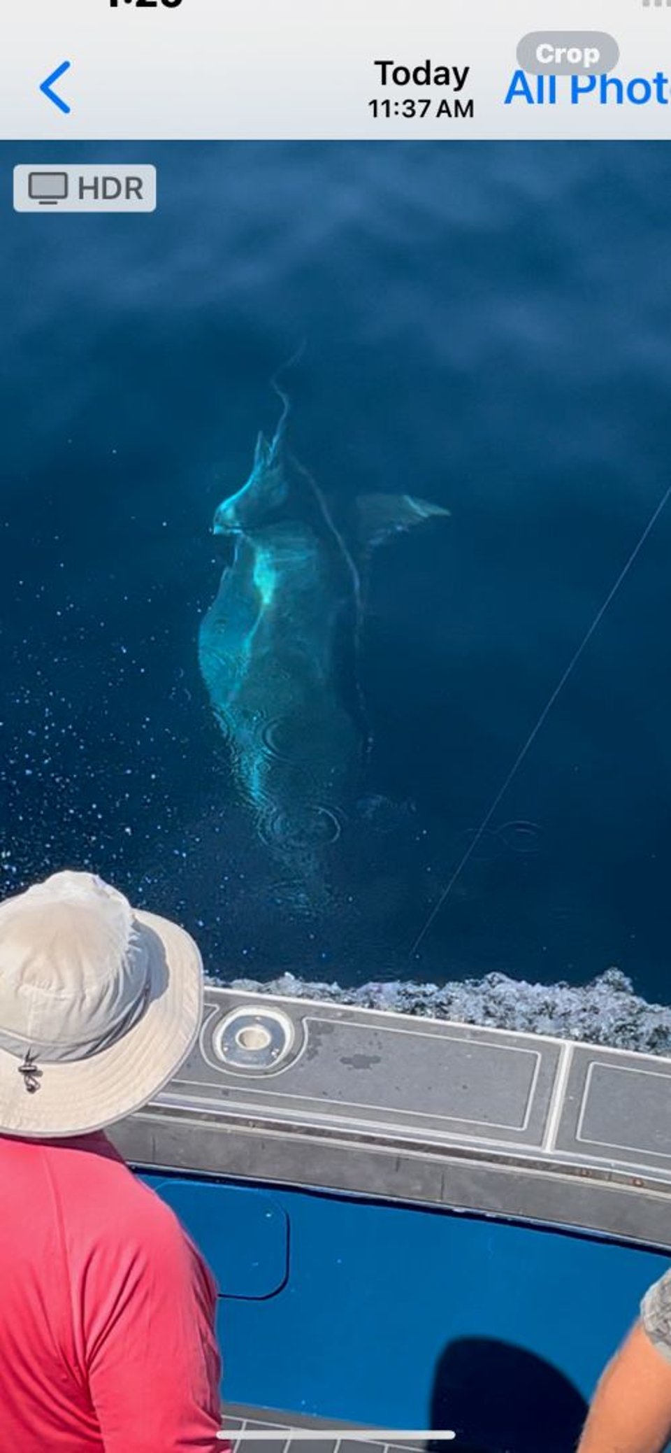 August 25, 2024 catch