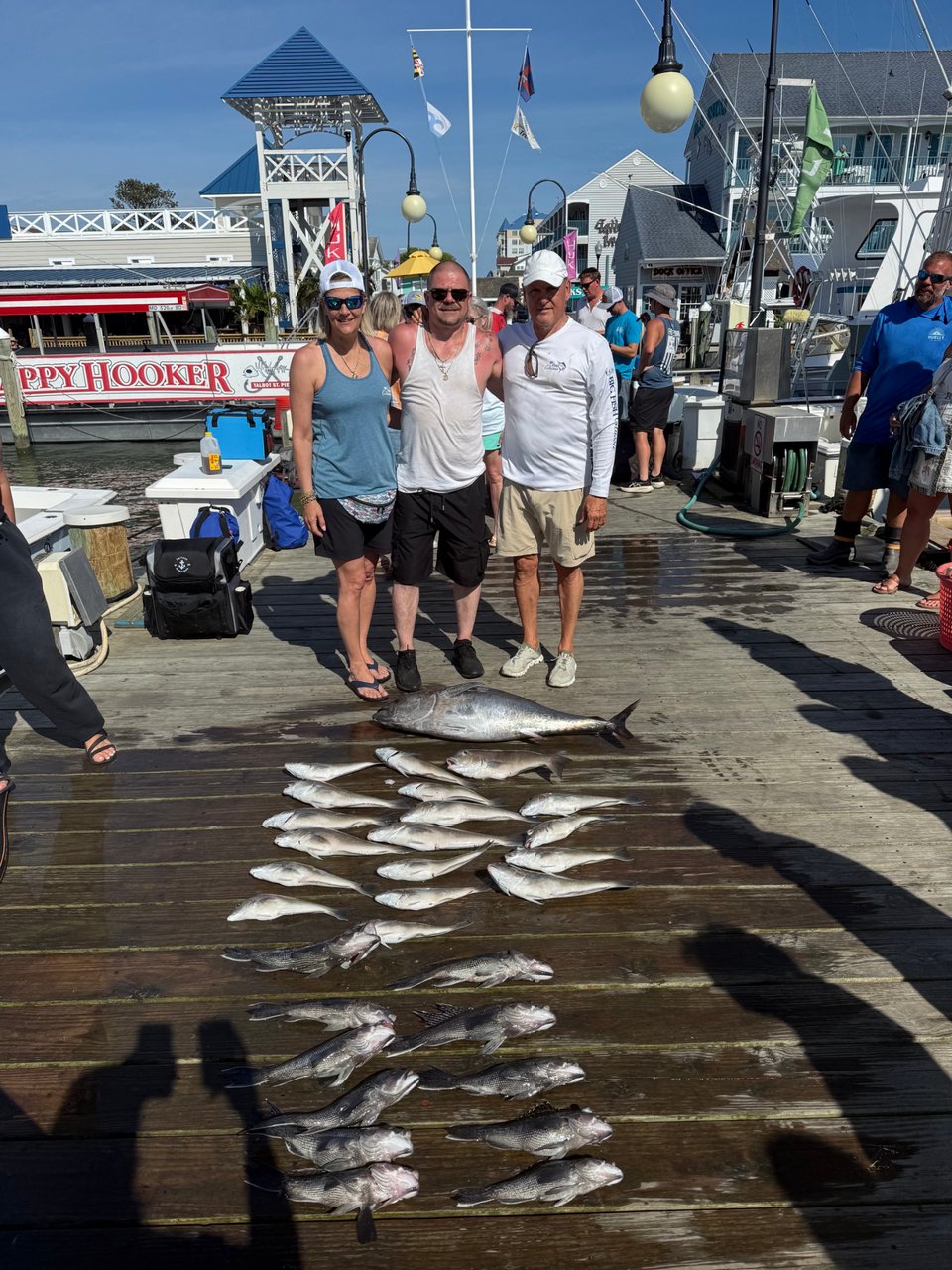 BFT/ Tiles / sea bass