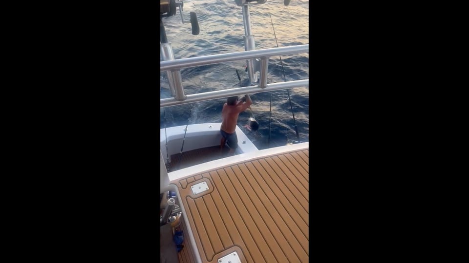 tuna