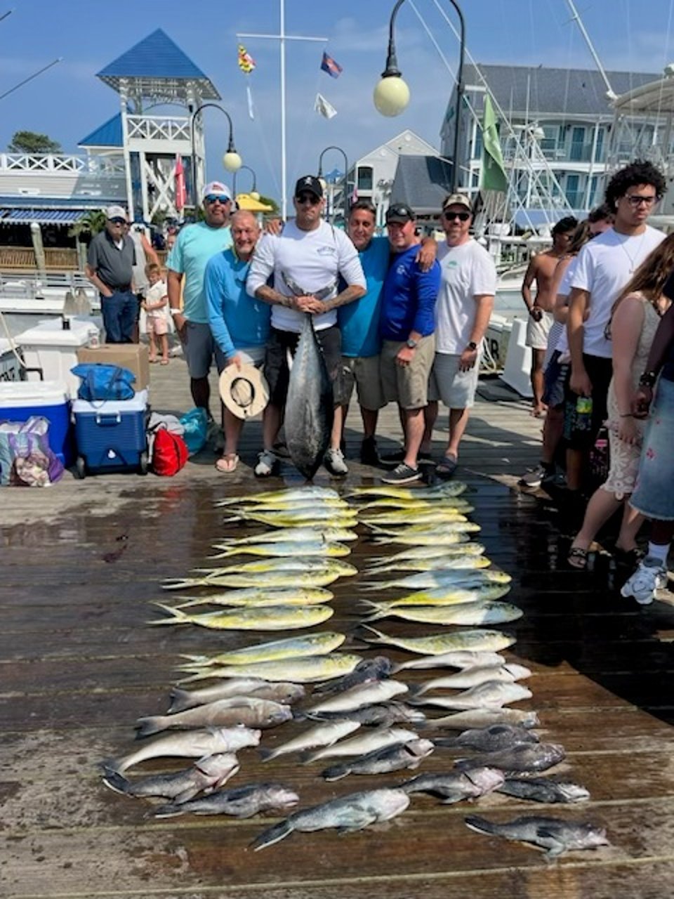 BFT, Mahi Tile july 20,2026