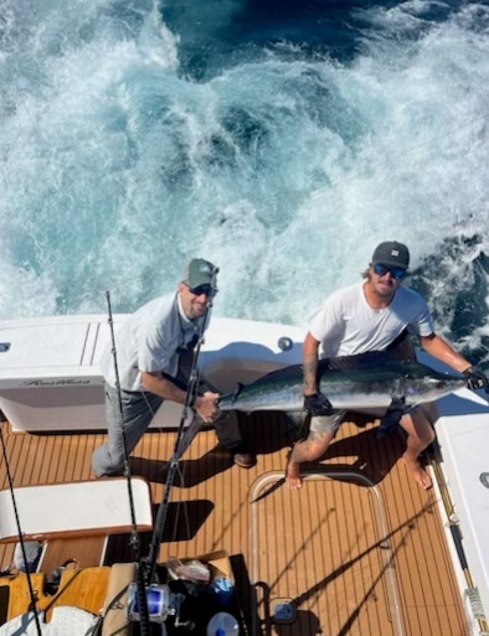 marlin