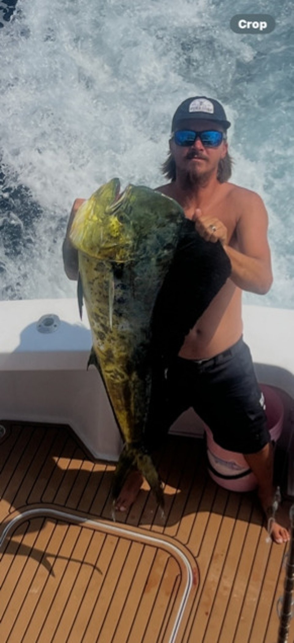 large bull mahi