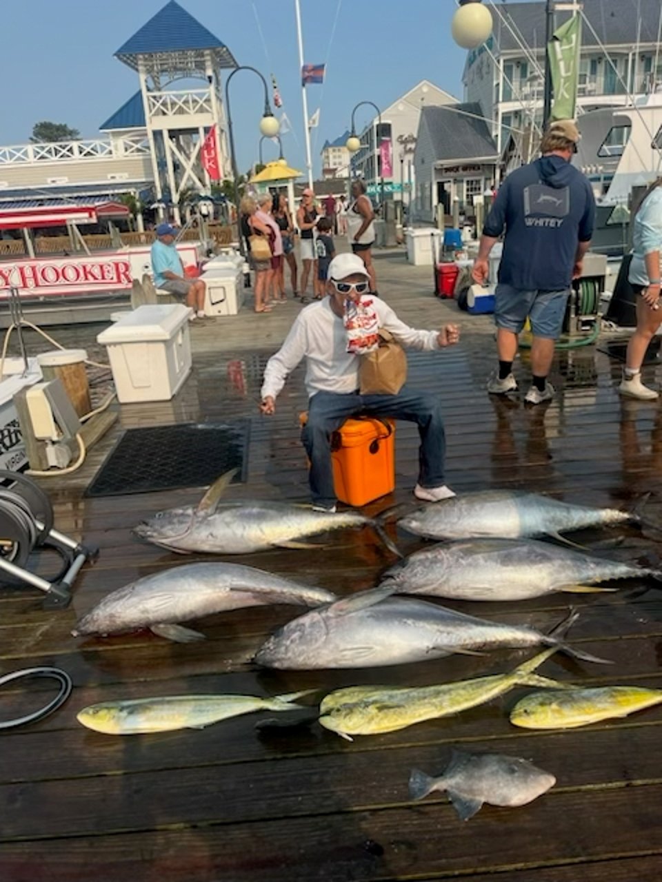 Yellowfin tuna July 14, 2026