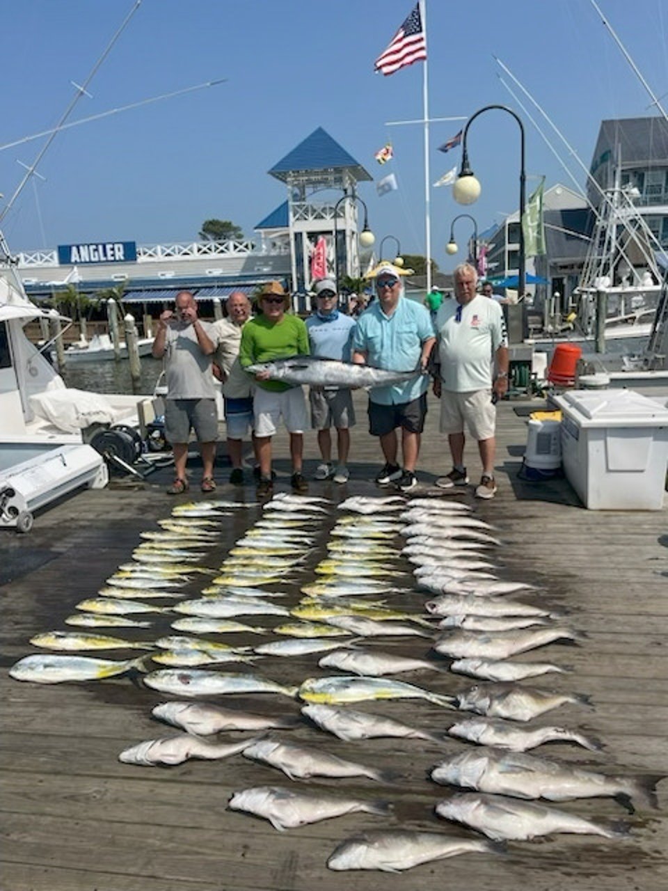 wahoo tile mahi