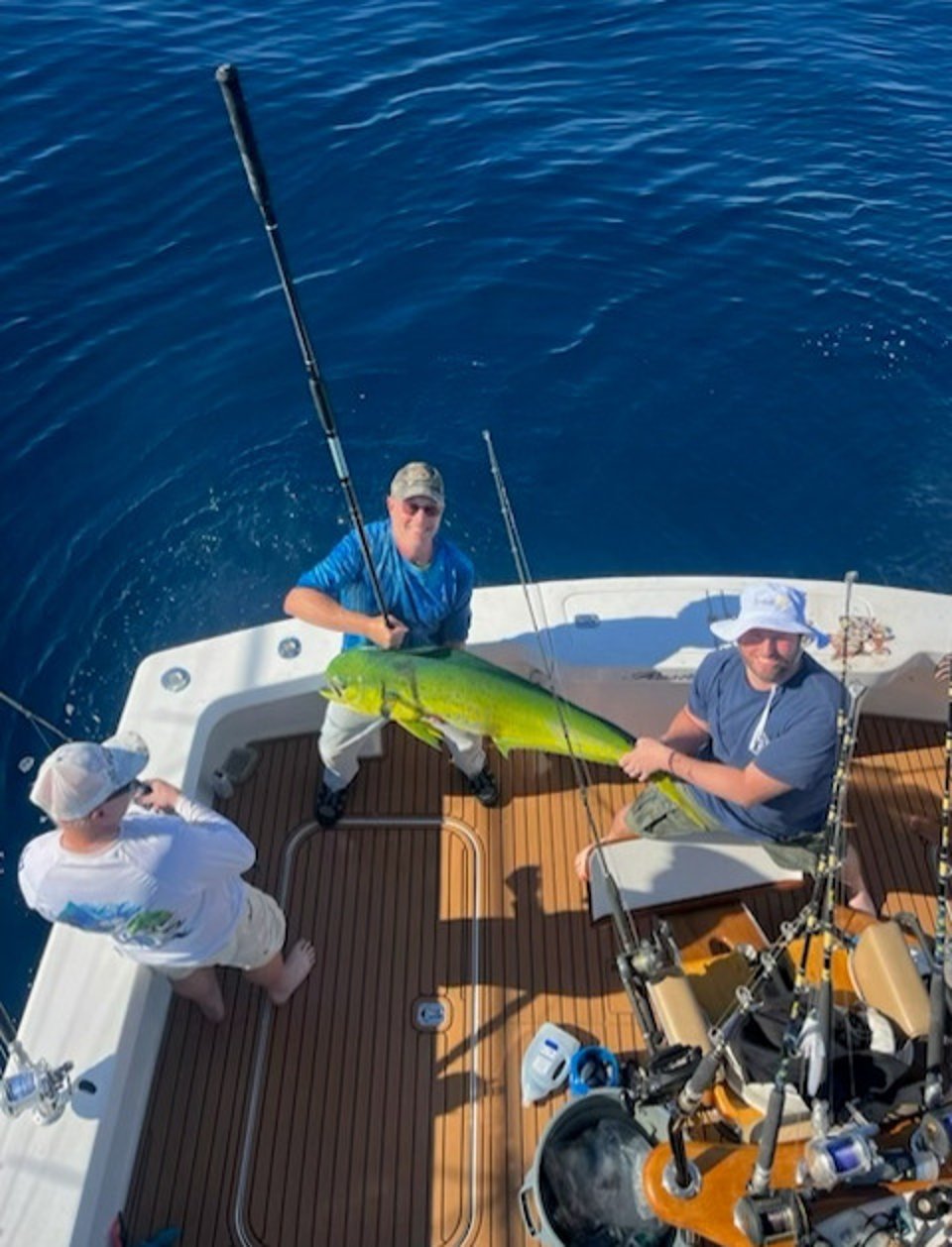 mahi