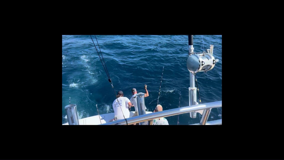 tuna video 06-25-2026