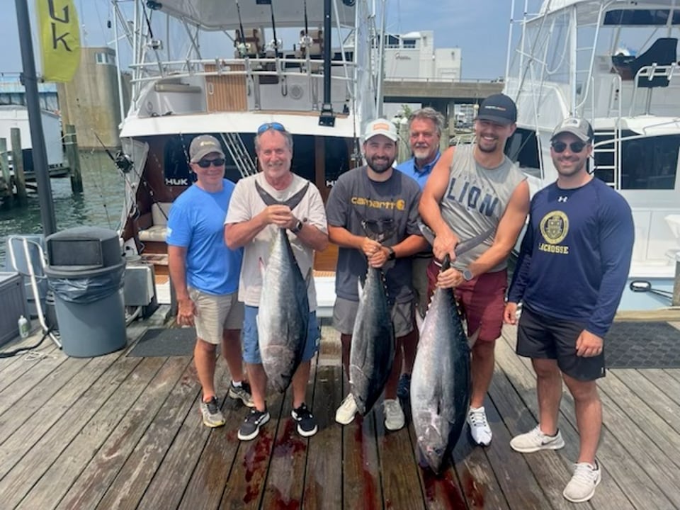 Bluefin tuna July 18, 2026
