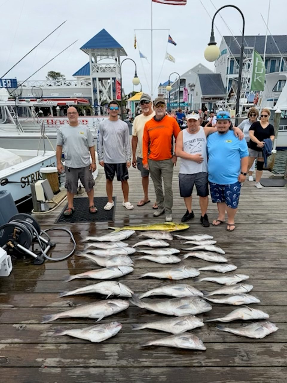 tile mahi july 7 2026