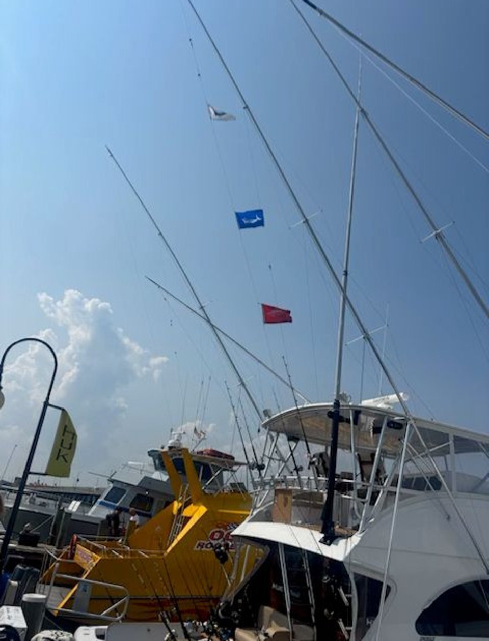 wahoo flag