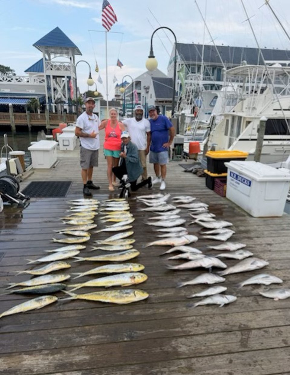 mahi mahi tiles