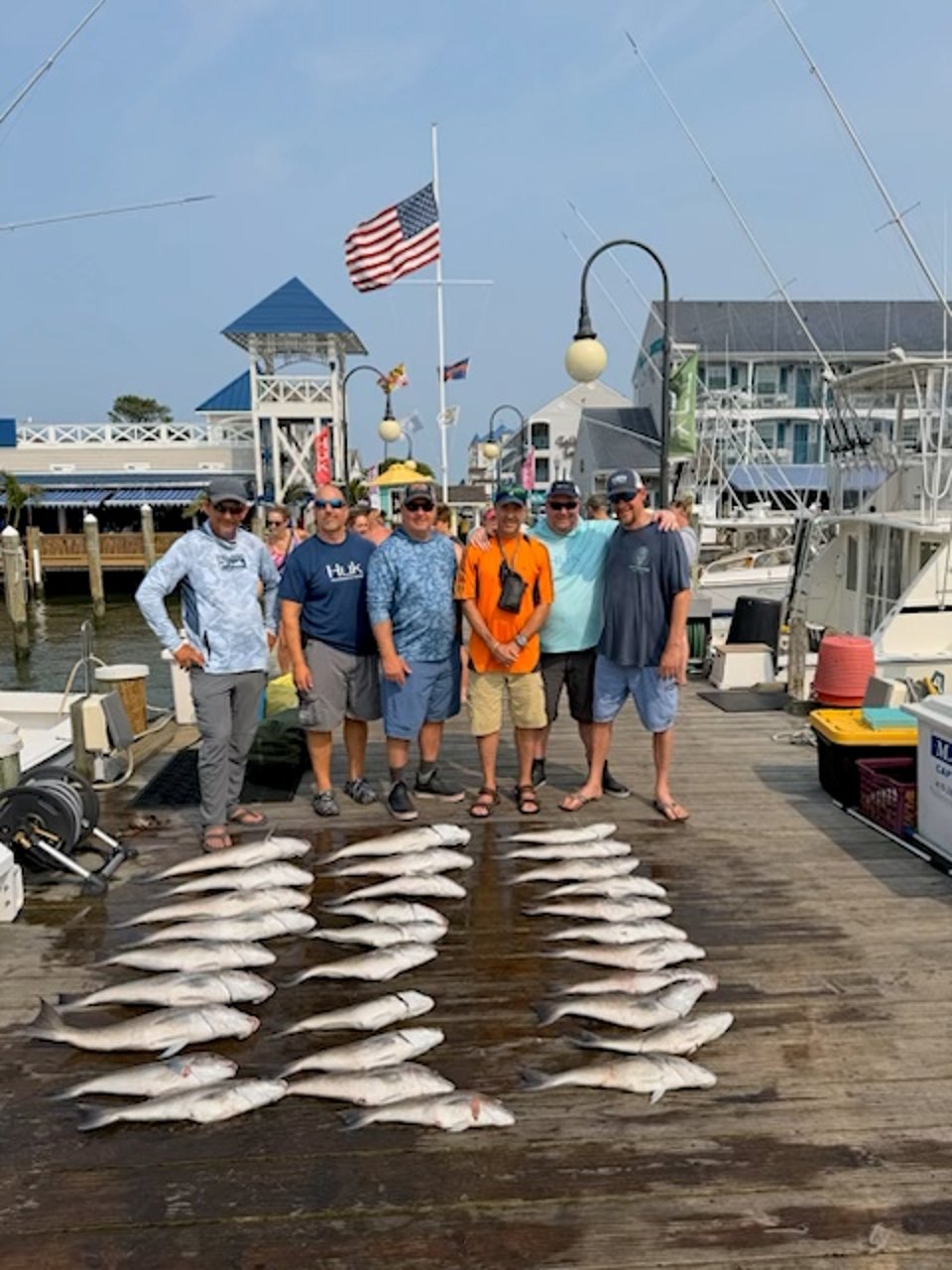 Tilefish